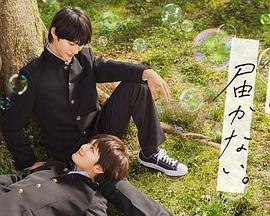 河南靠谱网站优化地址